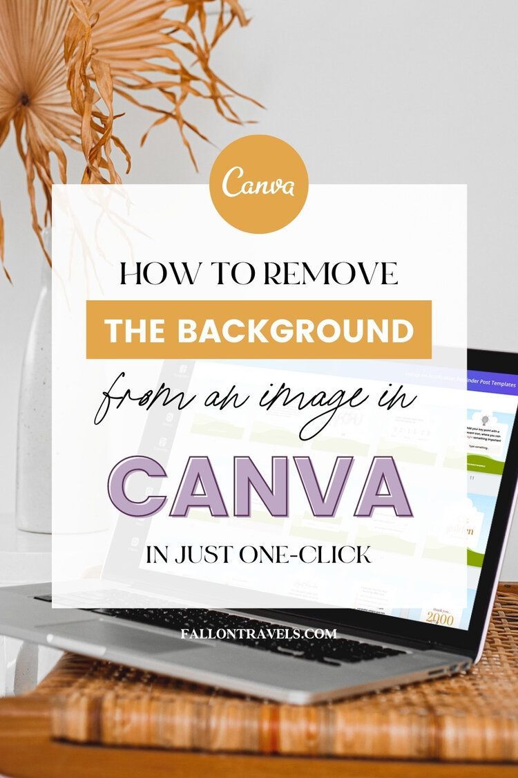 Remove Image Backgrounds in Canva: Easy Tutorial