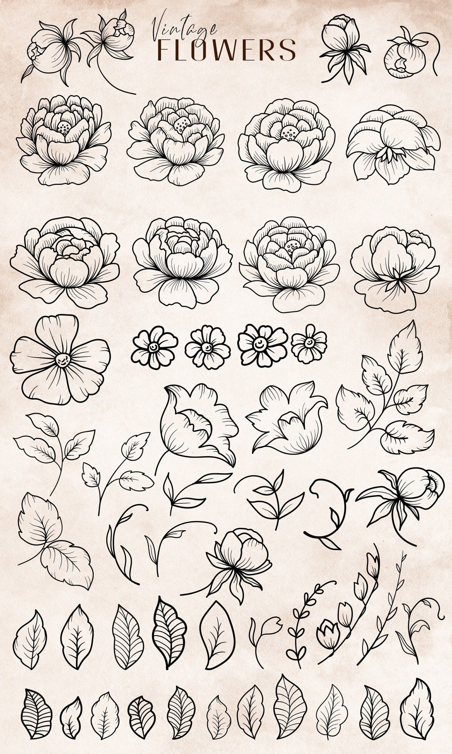 Floral svg, flowers outline svg, svg designs, roses svg, peony svg, botanical clipart, line art, doodle flowers, diy, cut files, flower svg