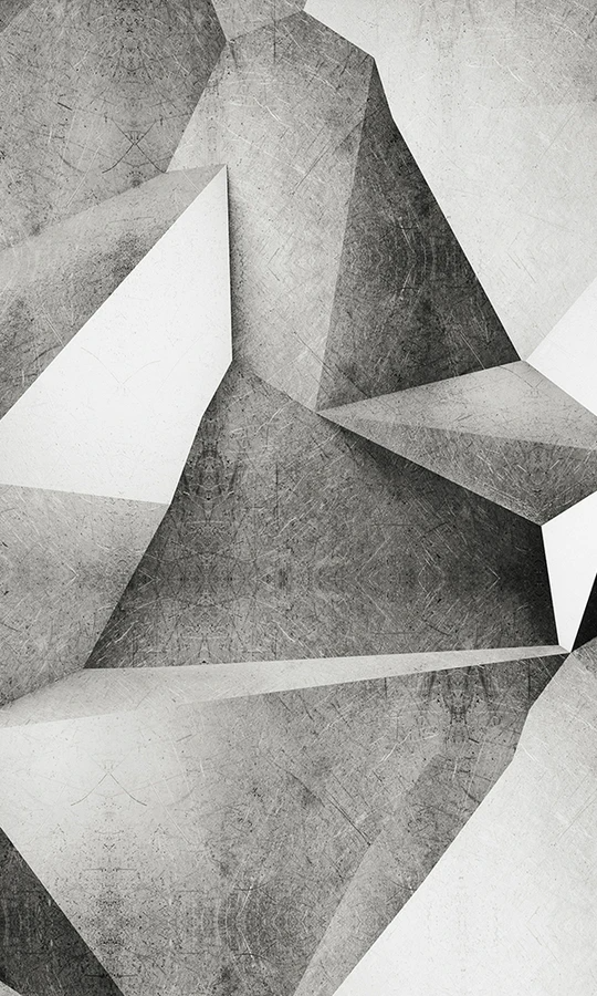 Search: 1533 results found for “digital wallpaper”