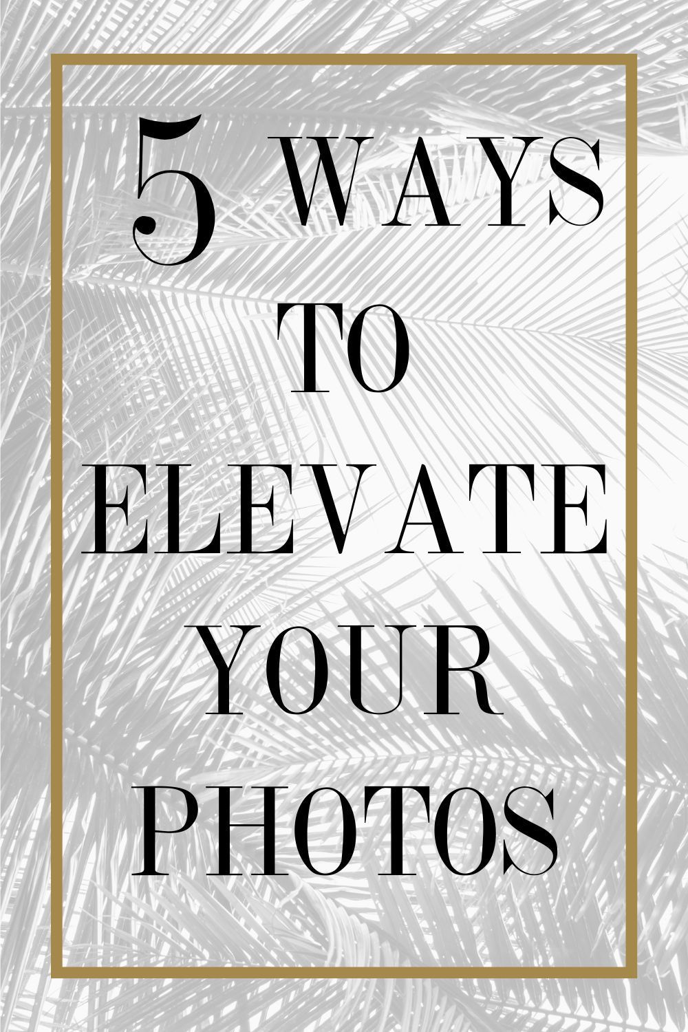 5 Ways to Elevate Your Photos