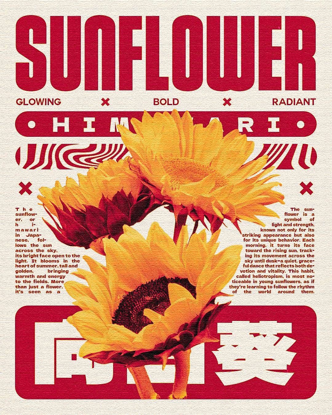Poster Tournesol – dimension originale 1350 x 1080