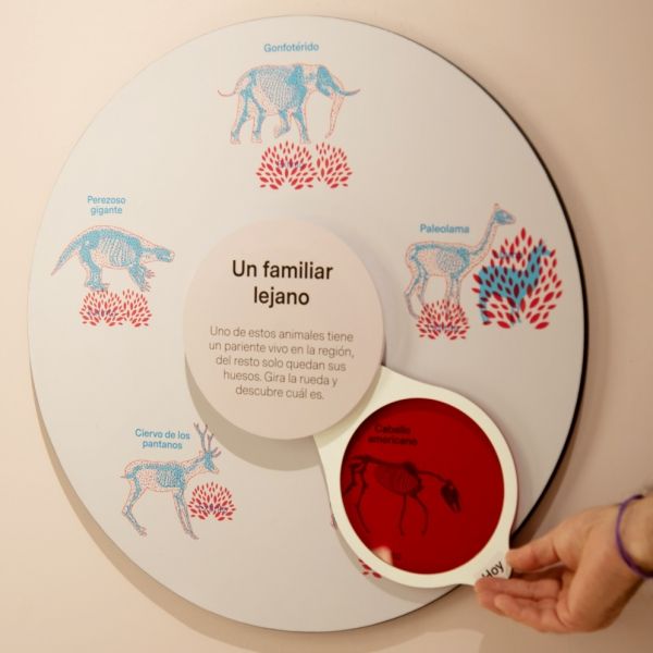 Interactivos Museo Arqueológico de La Serena