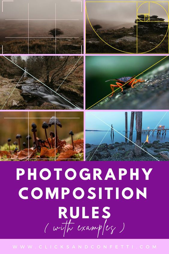 Composition in Photography for Beginners (A Beginner’s Guide)