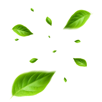 Floating Leaves Transparent Background, Floating Leaves, Flying Leaves, Flying Leaves Transparent PNG Transparent Clipart Image and PSD File for Free Download