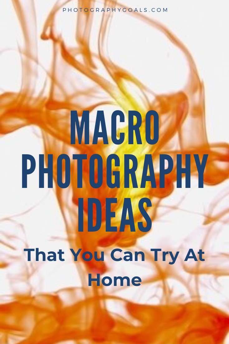 Macro Photography Ideas To Shoot At Home