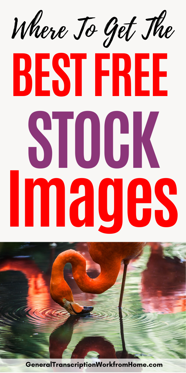 Best Free Stock Photos & Image Sites