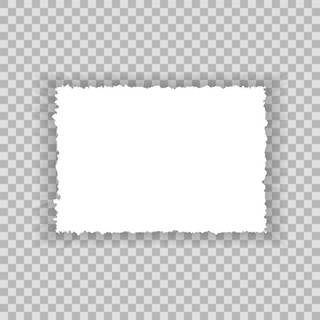 Torn paper edges for background ripped paper texture on transparent background vector illustration | Premium Vector