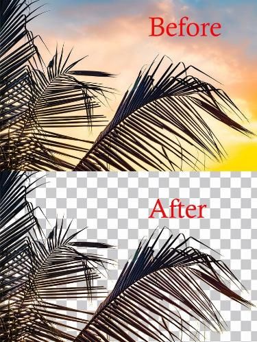 📸 Transform Your Visuals with Expert Background Removal Services! 🎨