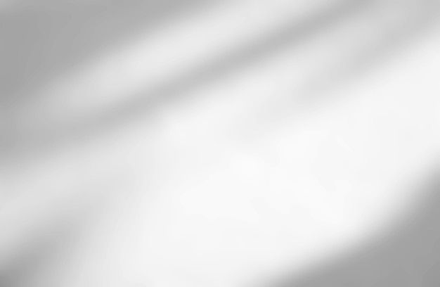 Creative Backdrops ✨ Sombra abstrata de folhas em um fundo de parede branca