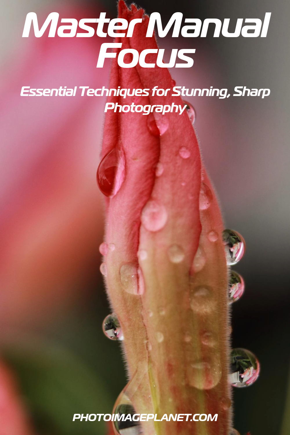 Master Manual Focus: The Key to Sharp & Creative Photography