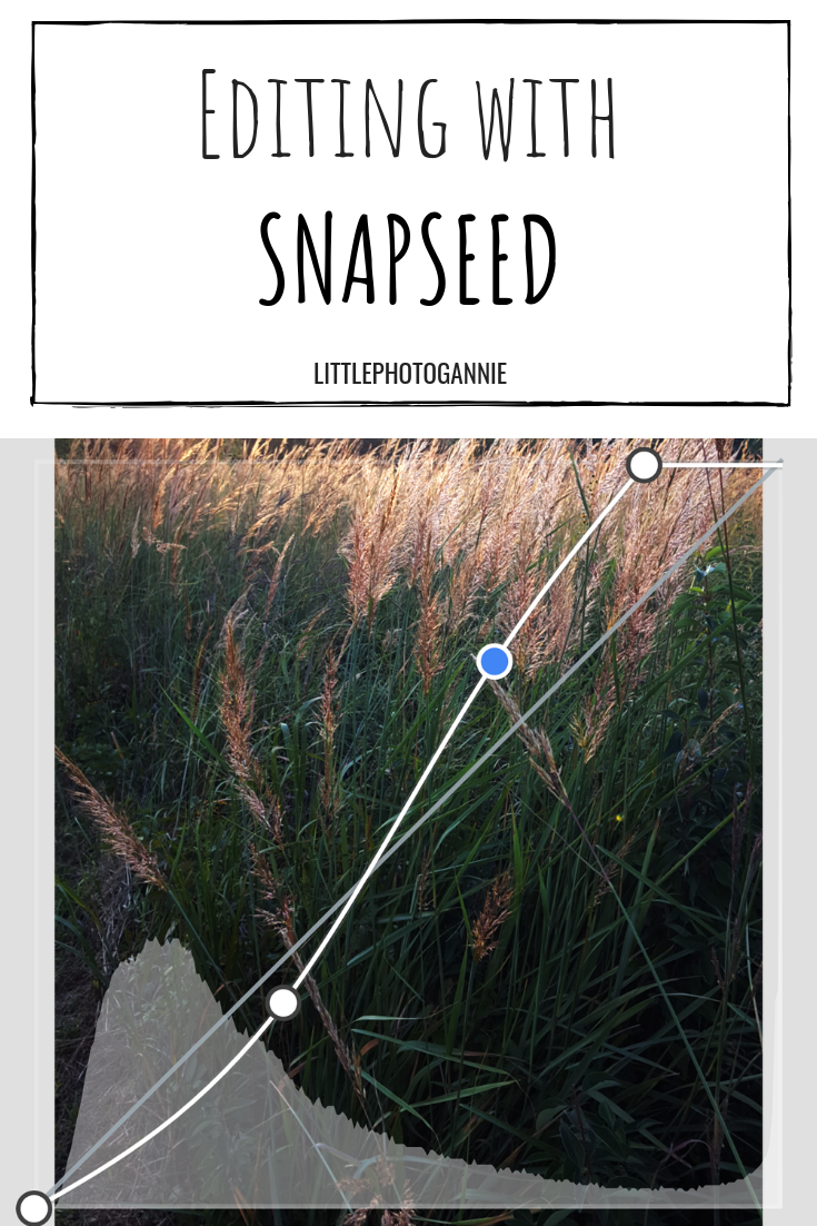 Mobile Editing for Beginners!