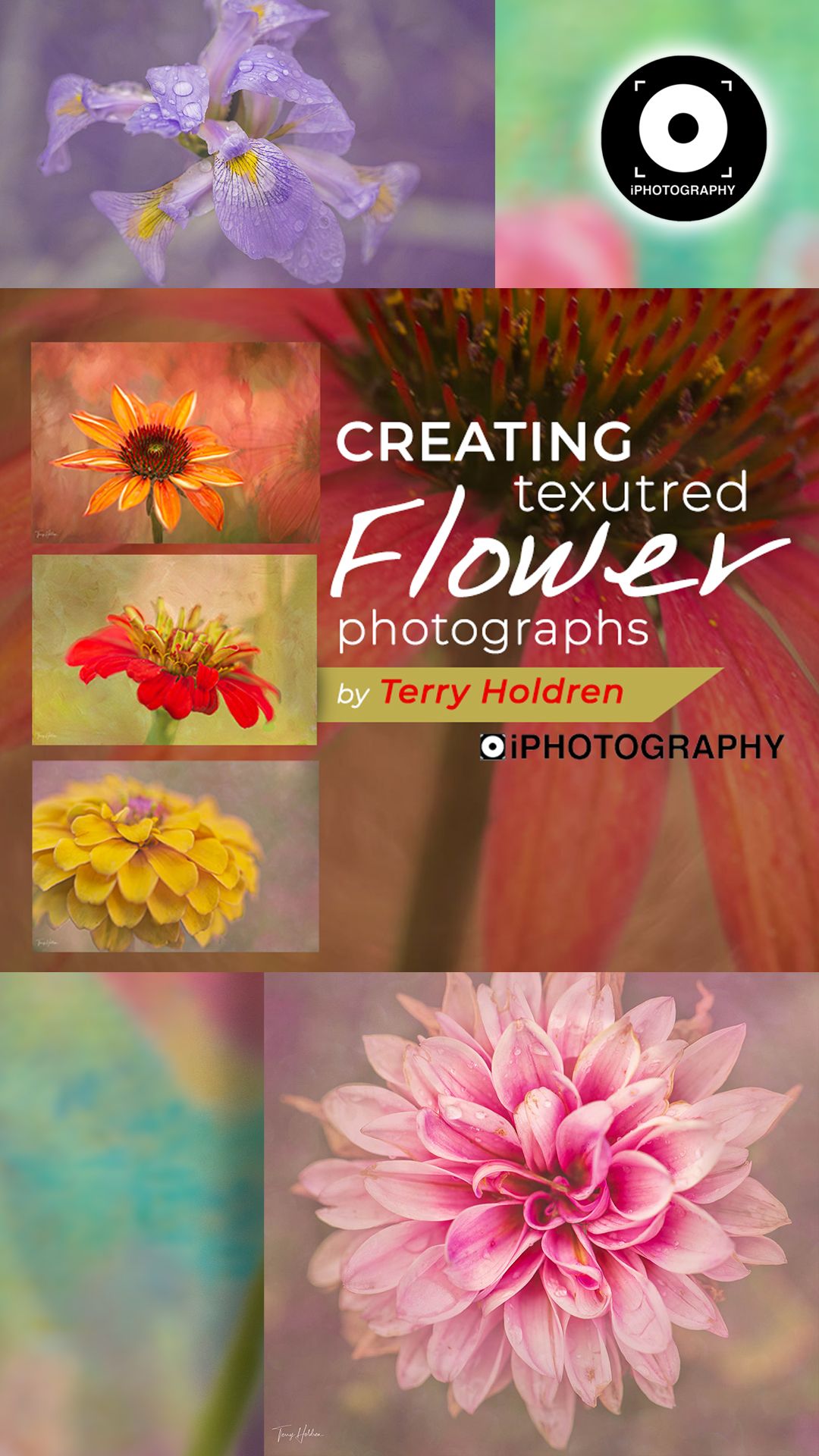 Flower Photos: Textural Composites by Photographer Terry Holdren