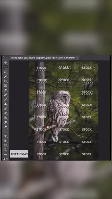 Master the art of watermark removal in minutes!
