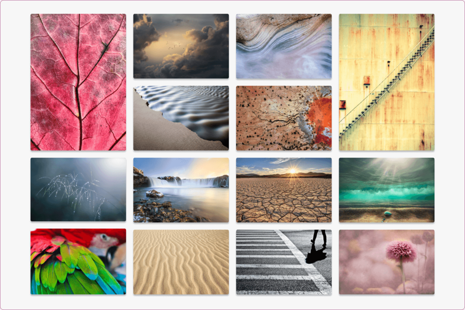 Focus: Understanding the 7 formal elements of photography