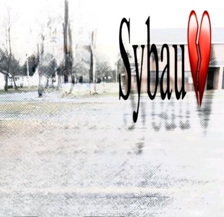 sybau background