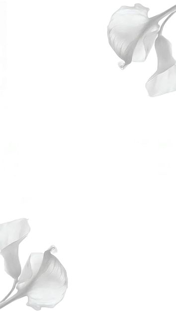 Light Photos – Download Free High-Quality Pictures | Freepik