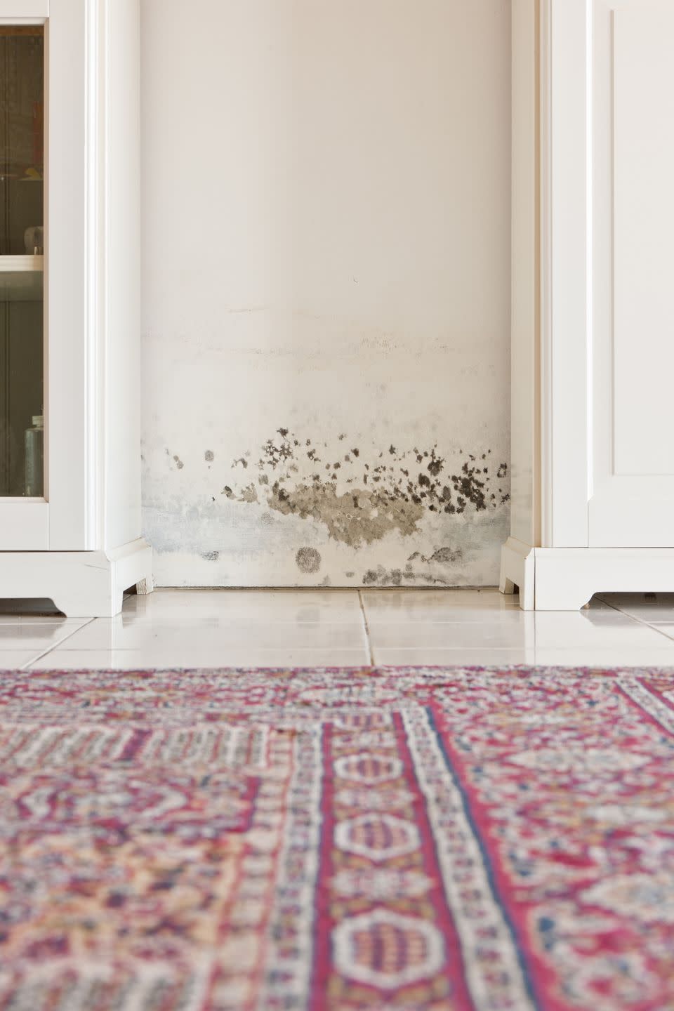 The #1 Way to Remove Mold From Any Surface in Your Home