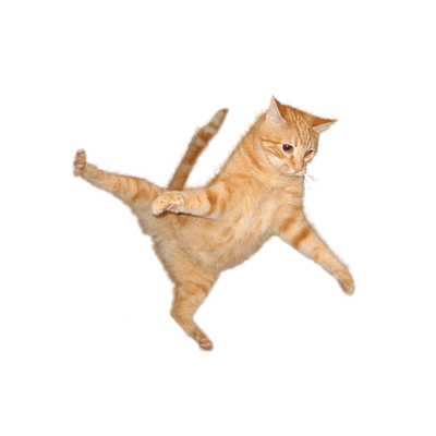 Cat Jump transparent PNG – StickPNG