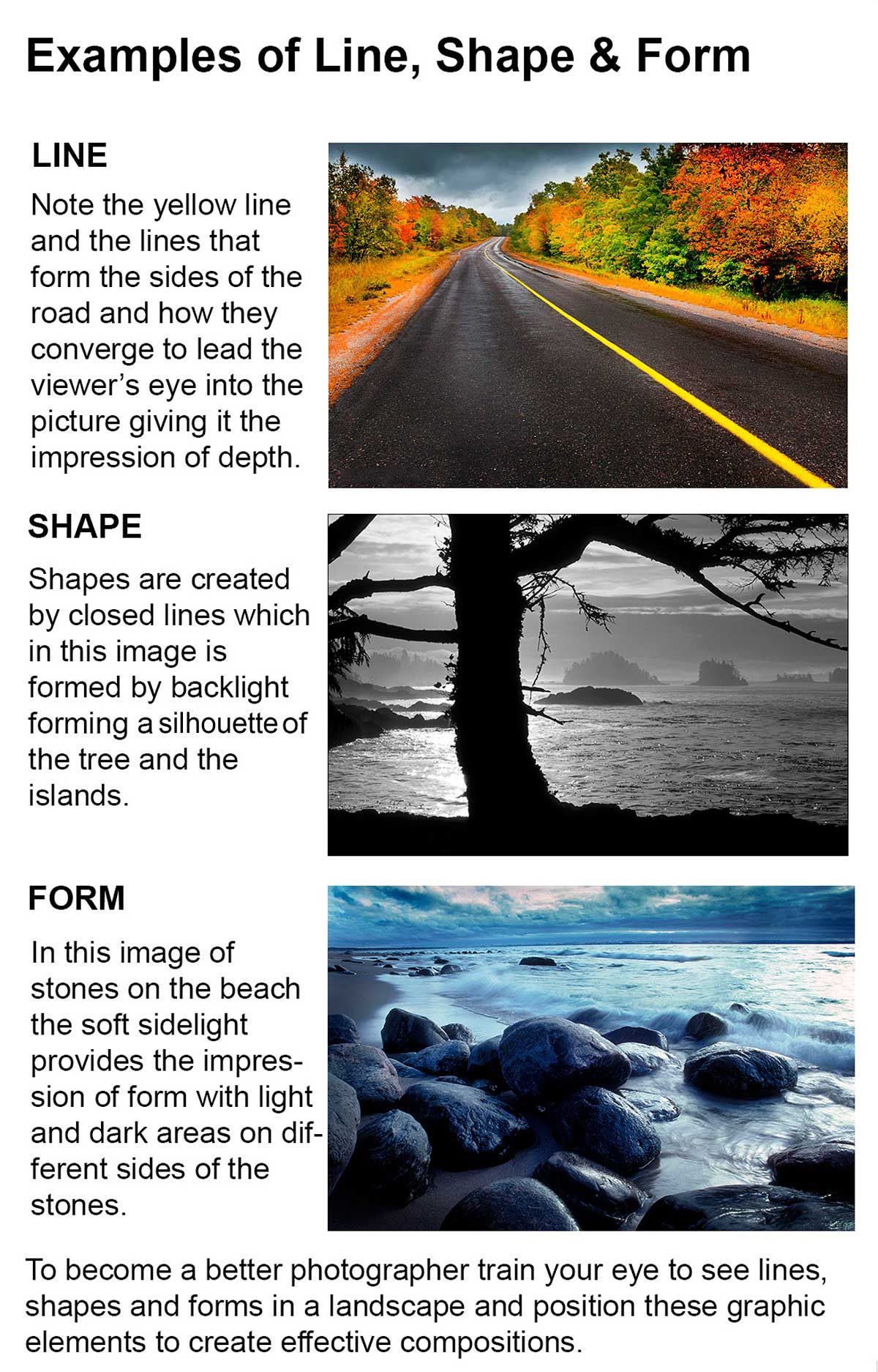 Elements of Design and Composition in Photography by Robert Berdan