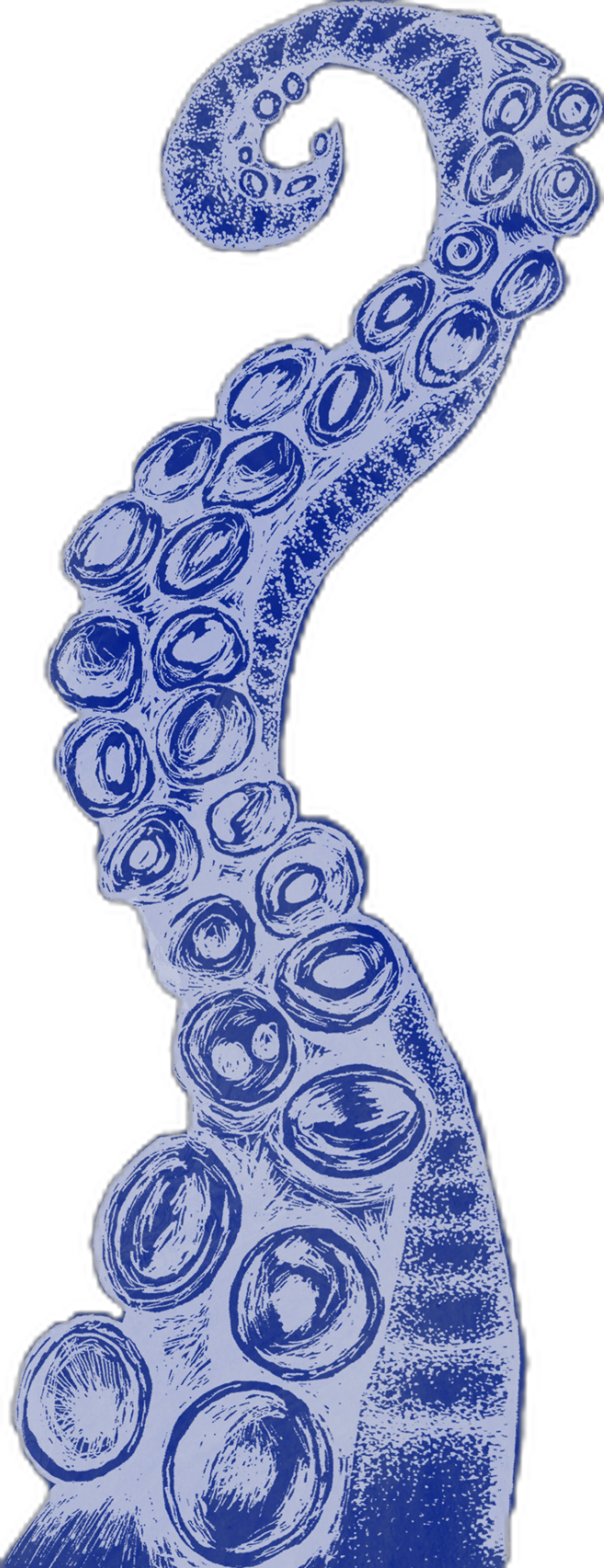 Pen & Ink Tentacle Dotwork Illustration – Jen Borror