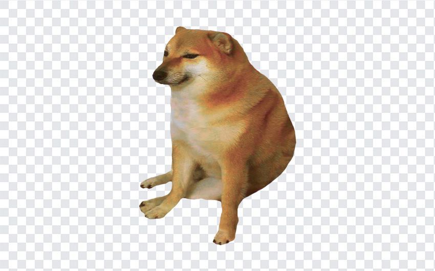 sticker png | Cheems PNG