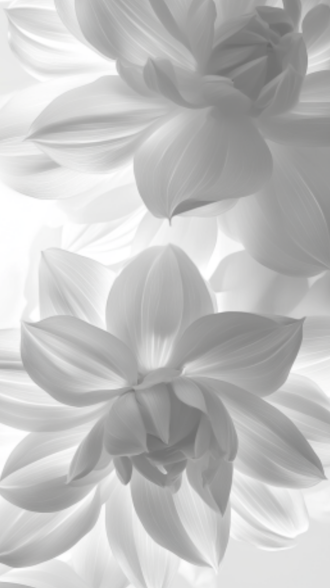 Black and White Flower Wallpaper