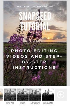 Snapseed manual with videos and step-by-step instructions