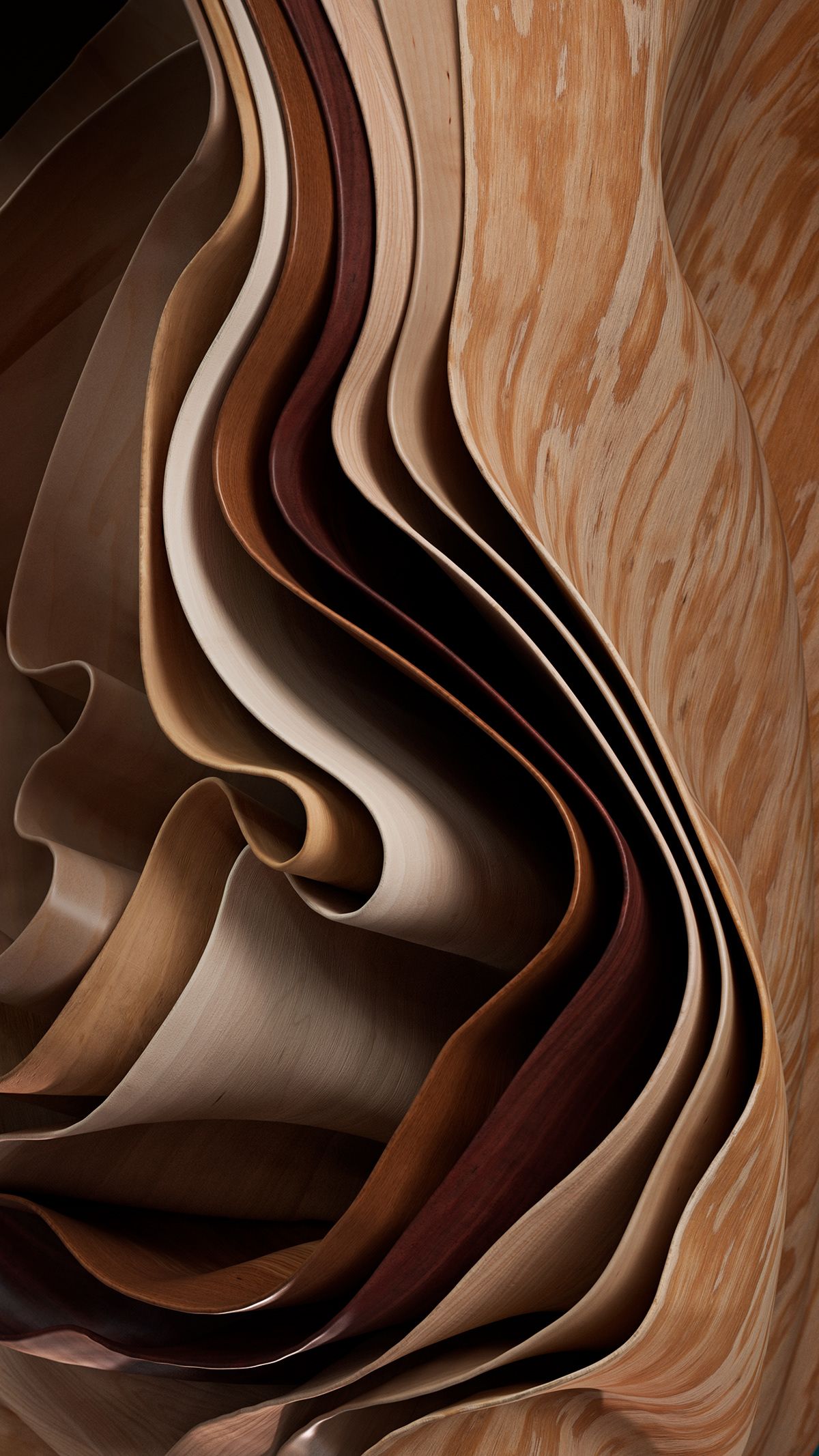 Ply-able-Wood – Mike Campau