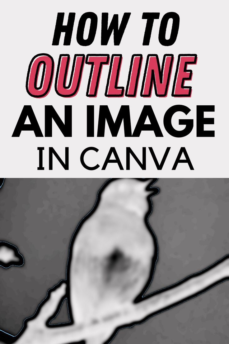 How To Outline An Image In Canva