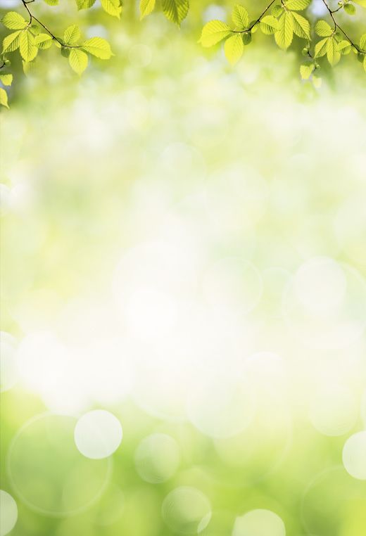 Spring photo shoot background photography backdrop ideas