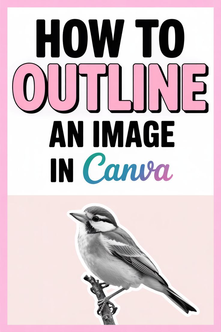 How to Outline an Image in Canva: The Viral Hack You Need to Try!
