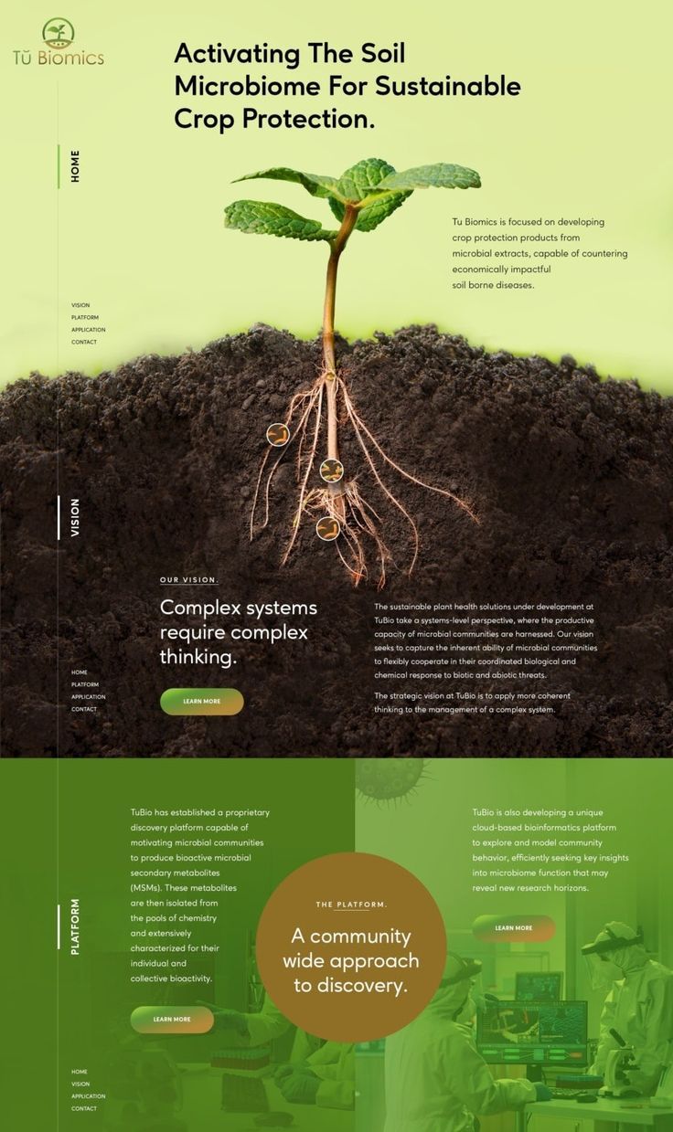 elegant modern natural conservative community landing page design